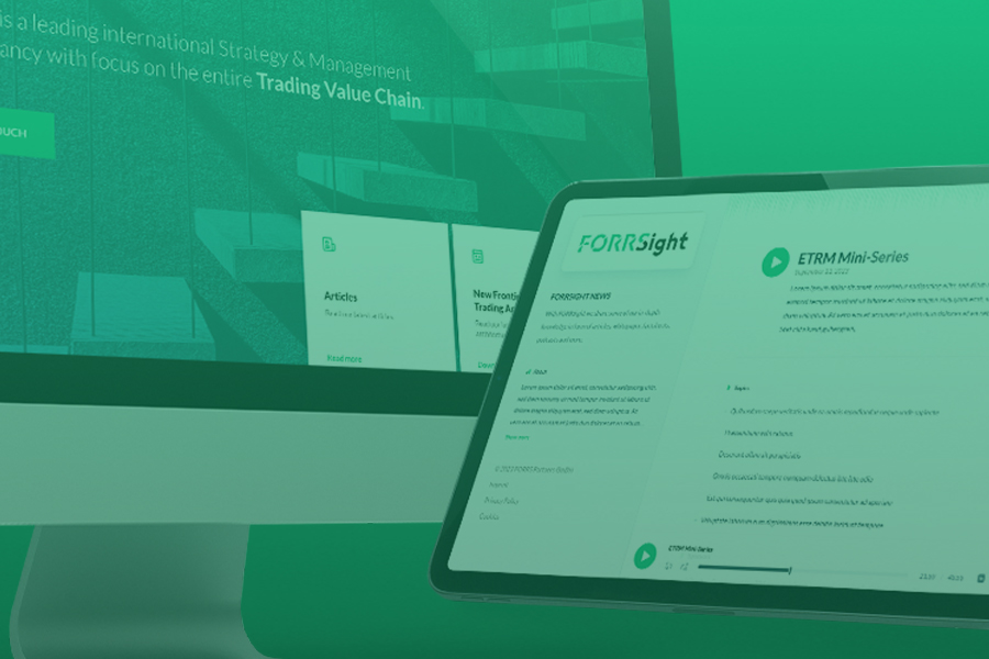 Monaco Friends & Forrs - Beyond Business Consulting